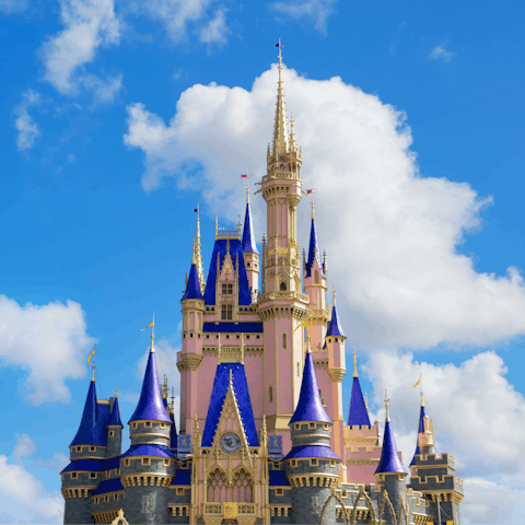 Spend the day at Walt Disney World, located close by