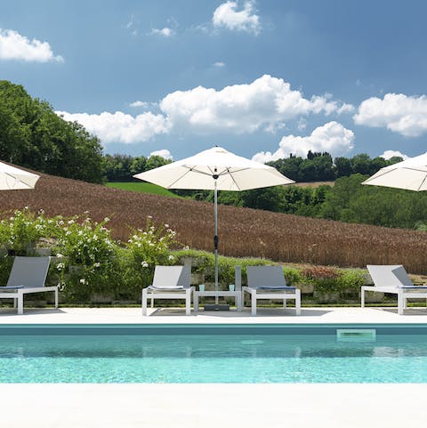 Admire the rural landscape from the pool