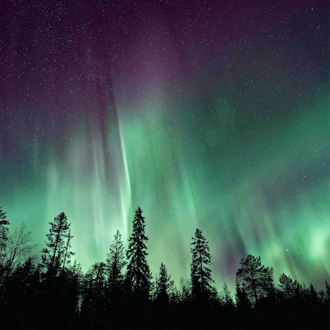 Spend evenings looking out for the Northern Lights