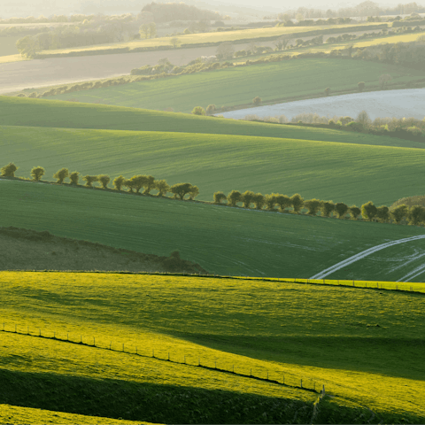 Find peace and relaxation in the South Downs National Park