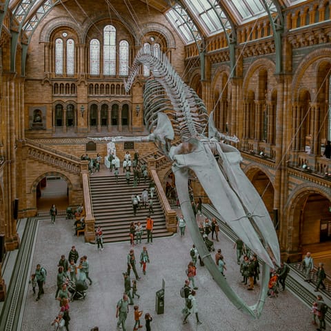 Explore the many museums nearby, including the Natural History Museum