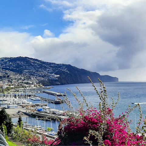 Stroll into Funchal in less than thirty minutes