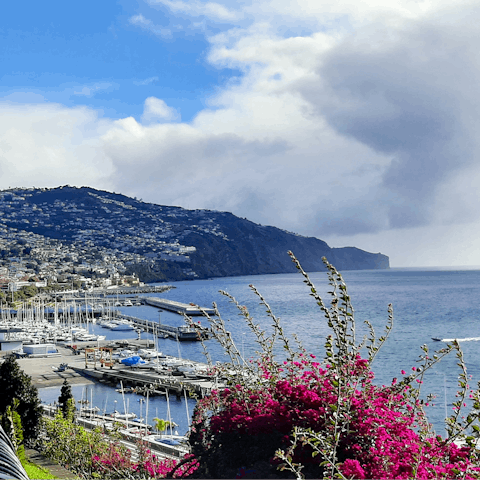 Stroll into Funchal in less than thirty minutes
