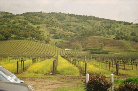 Explore world-class vineyards and acclaimed wineries, just a short drive away