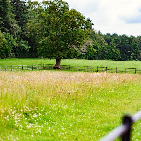 Follow beautiful walking trails through the Cotswolds countryside