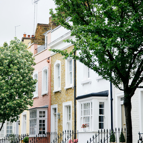 Wind your way through Chelsea to the King's Road