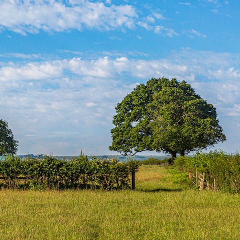 Hike through miles of open countryside