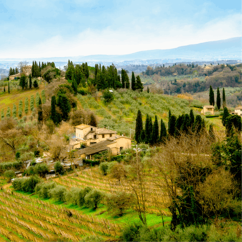 Head out of the city to explore the picturesque Tuscan countryside