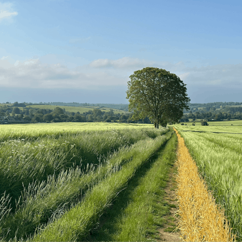 Explore the beautiful countryside around Burford