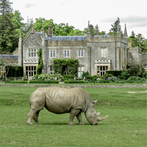 Spend an afternoon at the Cotswold Wildlife Park & Gardens