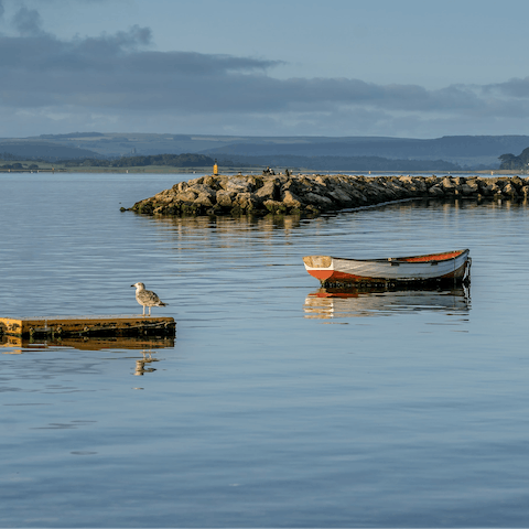 Embrace the refreshing spirit of the sea whilst strolling along Poole Harbour