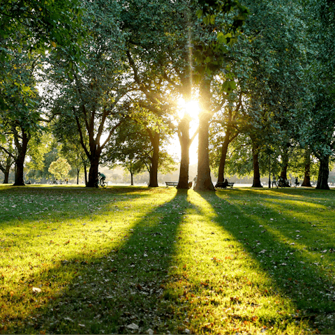 Get lost among the sprawling greenery of Hyde Park, a quarter of an hour's walk from the home