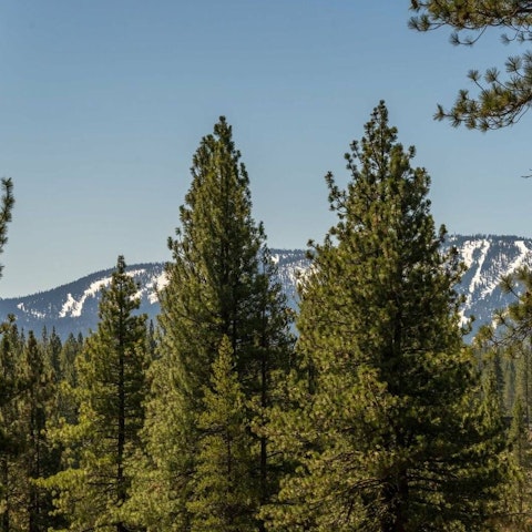 Follow hiking trails through the stunning North Lake Tahoe