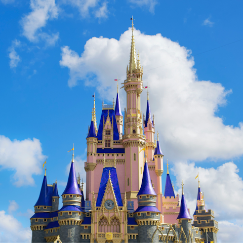 Begin your stay in Florida with a magical trip to Disney World