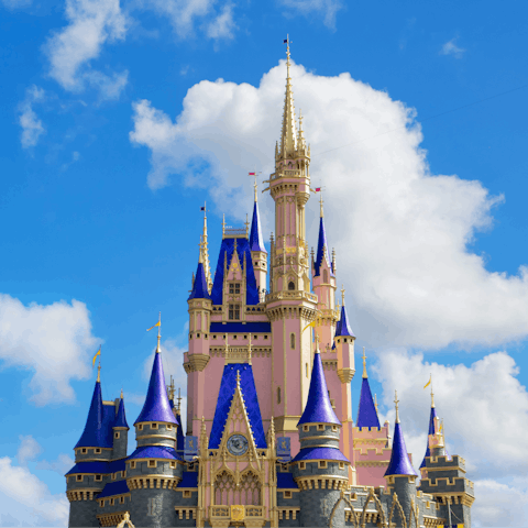 Begin your stay in Florida with a magical trip to Disney World