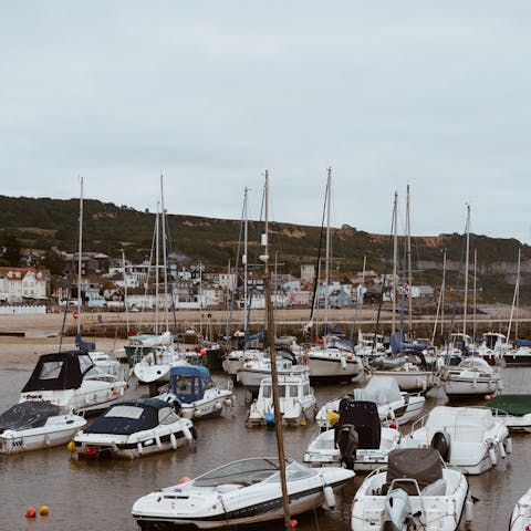 Explore Lyme Regis, including the Cobb