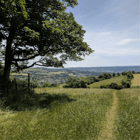 Visit the Rollright Stones as you walk the d'Arcy Dalton Way