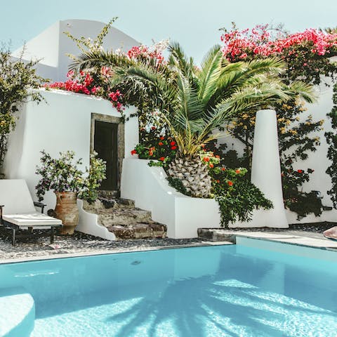 Spend a day by the private pool, with plenty of shade beneath the garden's impressive plantlife