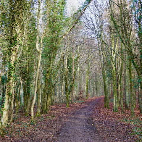 Explore the countryside before popping into a Stroud pub for a pint