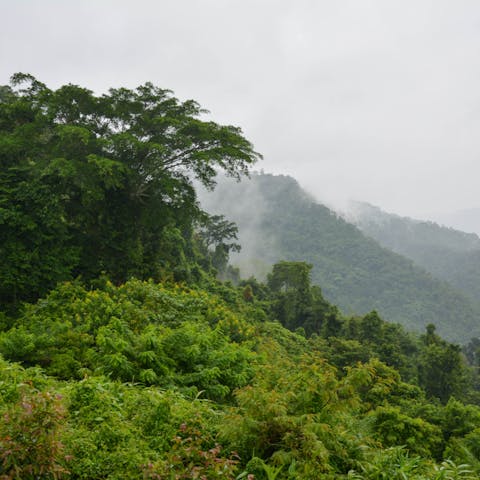 Take an off-road tour through the jungle, as you explore the unseen spots of Ko Samui