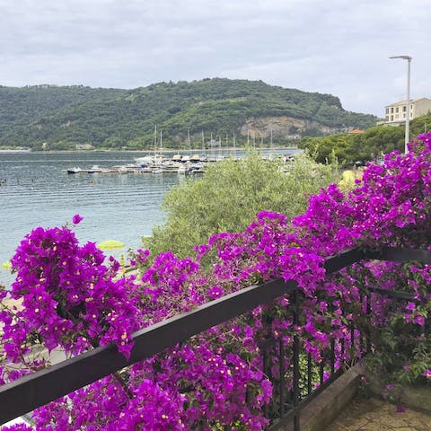 Watch maritime life unfold from the balcony