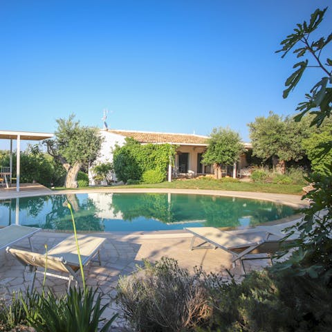 Find a wonderful sense of relaxation while lounging by the pool