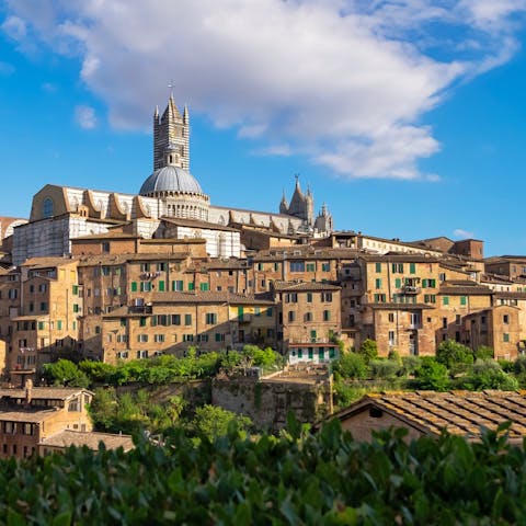 Spend a day visiting Siena – you can drive there in under an hour