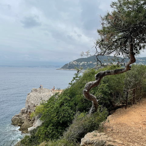 Enjoy scenic coastal walks around Saint-Jean-Cap-Ferrat