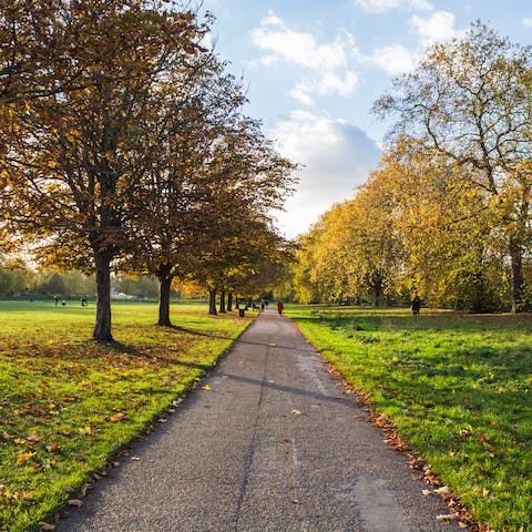 Reach Hyde Park in just twenty minutes