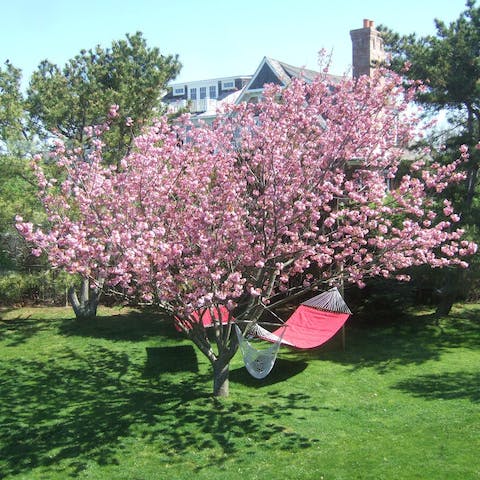 Chill out in the garden with a good book