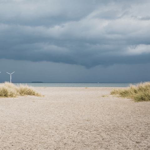 Do a bit of kite surfing at nearby Amager Strand