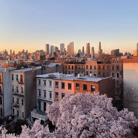 Explore Brooklyn's vibrant Bed-Stuy neighbourhood, right on your doorstep