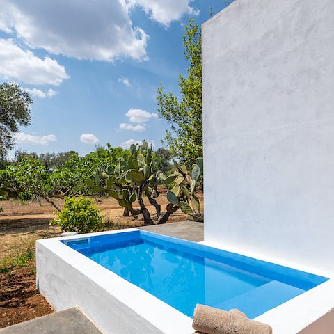 Slip into the small swimming pool to escape the heat of the day