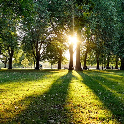 Enjoy an invigorating stroll through nearby Hyde Park