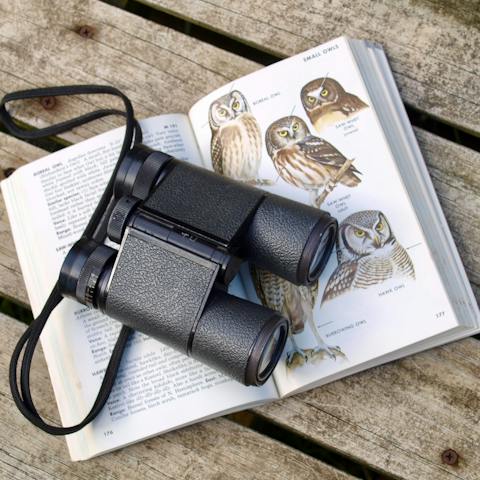 Bring your binoculars – Orford Ness National Nature Reserve and Havergate Island are on your doorstep