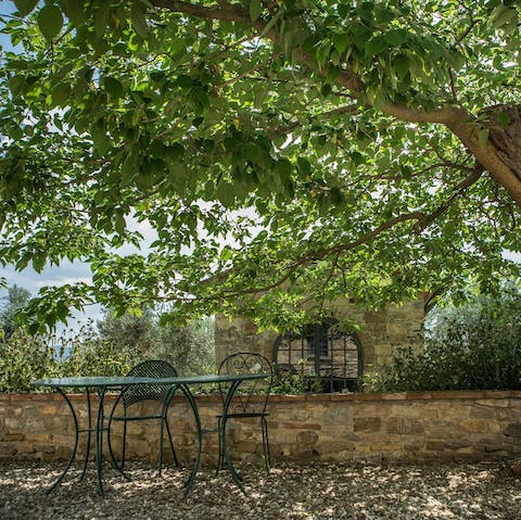 Enjoy your morning coffee in the shade of the trees