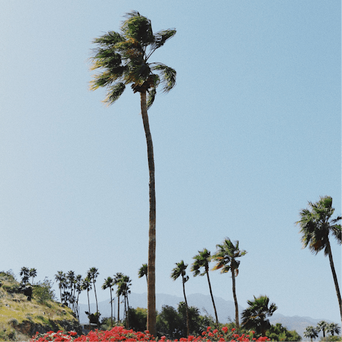 Stay just a six-minute drive away from Downtown Palm Springs