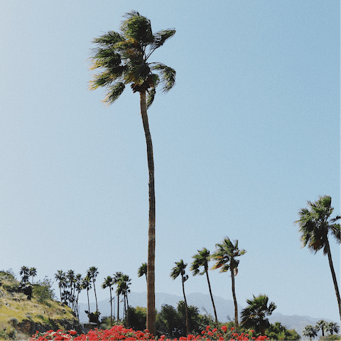 Stay just a six-minute drive away from Downtown Palm Springs