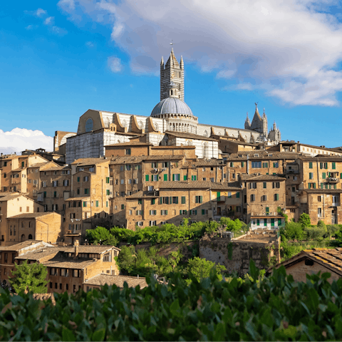 Take a drive through Tuscany to the majestic city of Siena