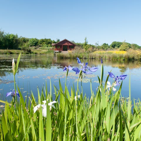 Try your hand at fishing on the lake