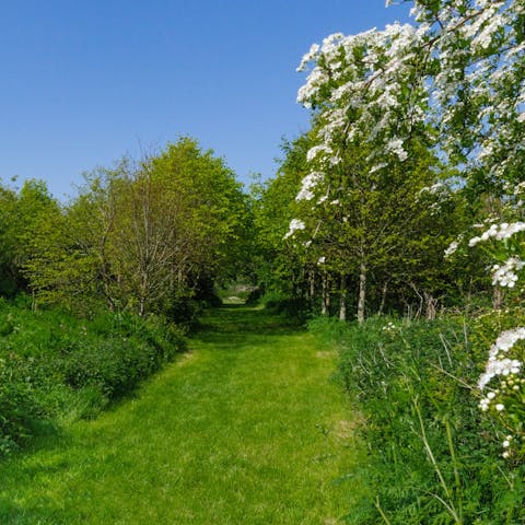 Explore the secret paths through the grounds