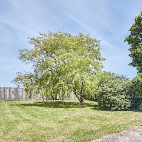 Spend time in nature and relax on the lush lawn