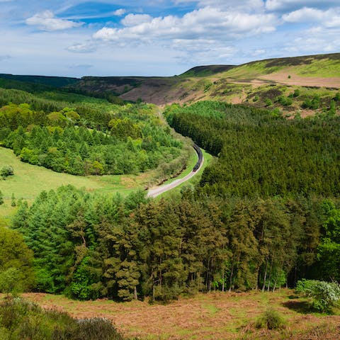 Explore the dramatic landscapes of the North York Moors National Park