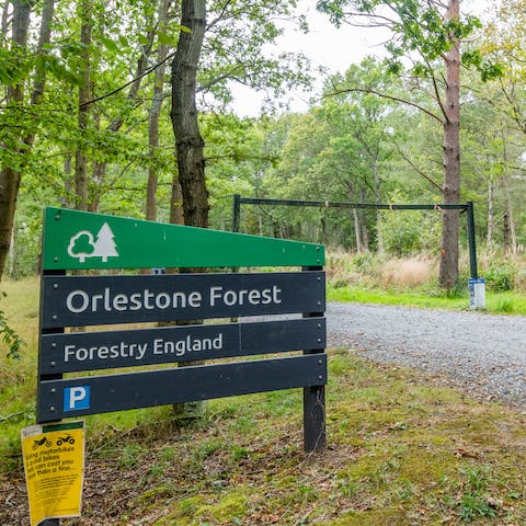 Lace up your walking boots and go for a stroll through Orlestone Forest, a twenty-minute walk away