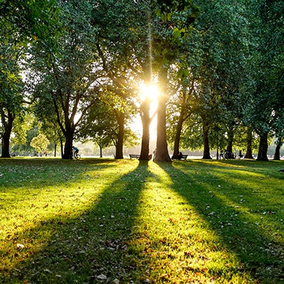 Pack a picnic and head to Hyde Park, fifteen minutes away on foot