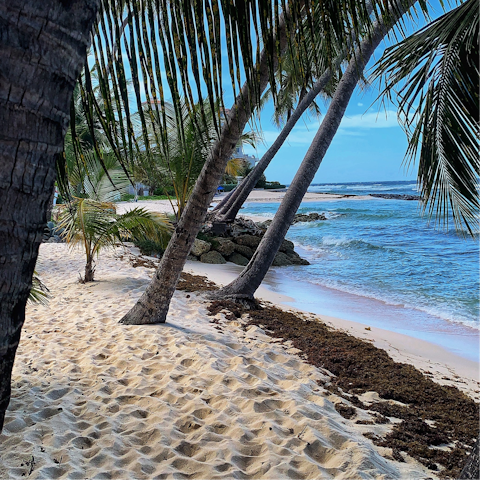 Discover the serene beaches and crystal clear waters of Barbados