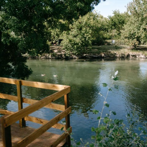 Enjoy peaceful views of the river from your pontoon