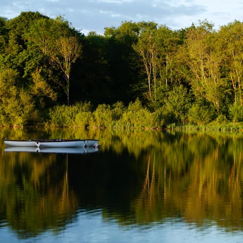 Take a stroll around Hatfield Forest, a short drive away