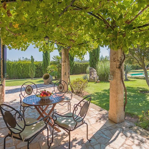 Celebrate life's simple pleasures with balmy evening drinks in the garden