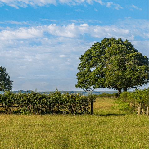 Get out and about, on bikes or on foot, in the Somerset countryside